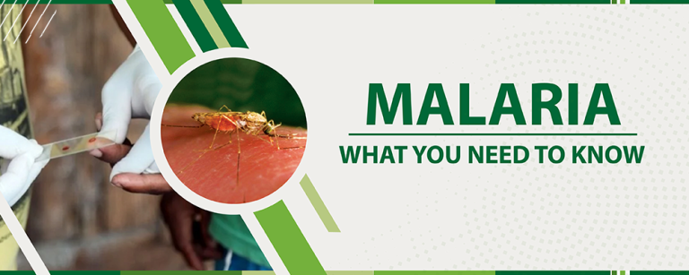 Outbreaks – Malaria – National Department of Health